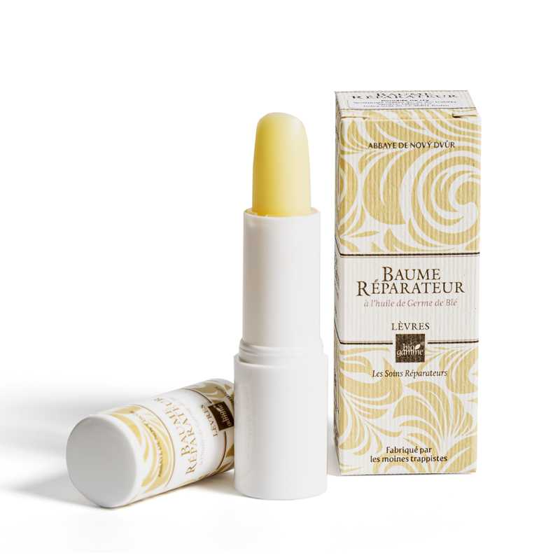 BAUME LEVRES - 4.2 g