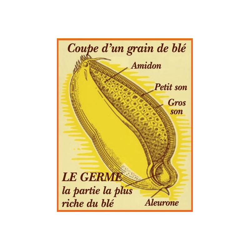 Germe de blé 238g