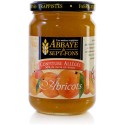 340 - ABRICOTS ALLEGEE GRATUIT (noyaux présents)