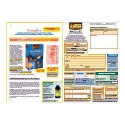 Catalogue et bon de commande
